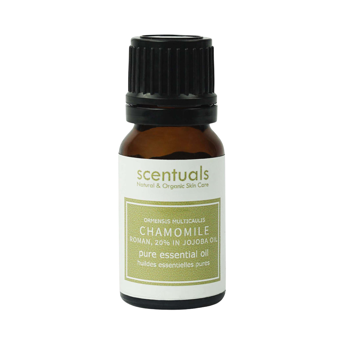 Chamomile Roman Luxury Essential Oil 20%