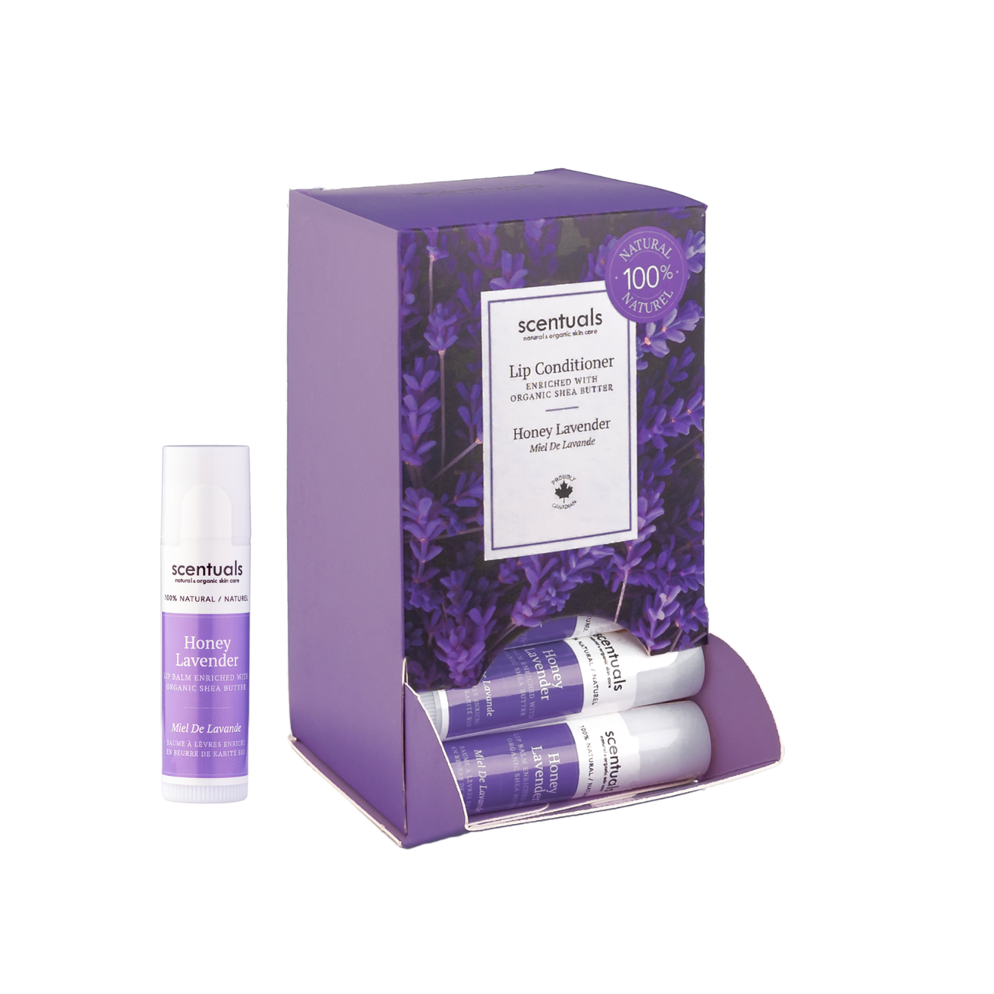 Honey Lavender Lip Conditioners (Display of 24)