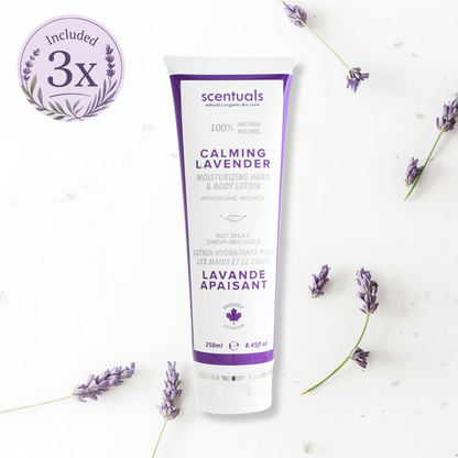 SC Lavender Prepack