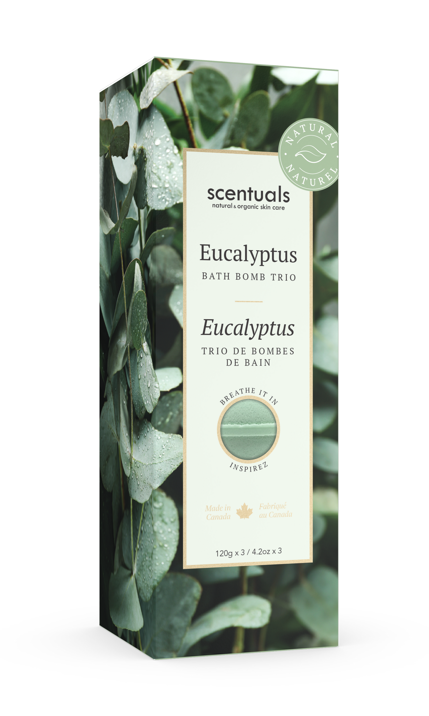 Eucalyptus Bath Bomb Trio