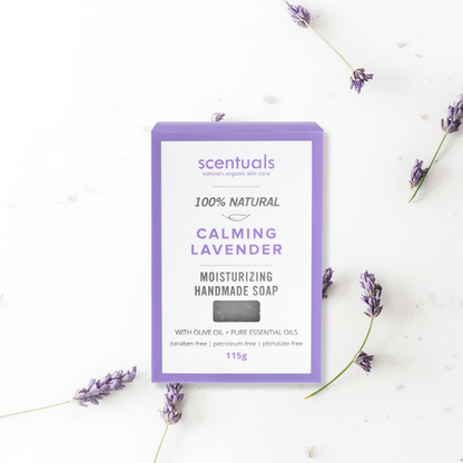 SC Lavender Fields Collection Prepack