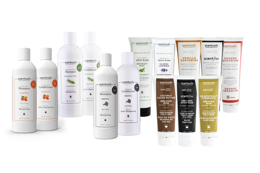 SC Hair & Body Prepack 2026