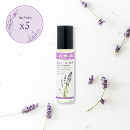 SC Lavender Fields Collection Prepack
