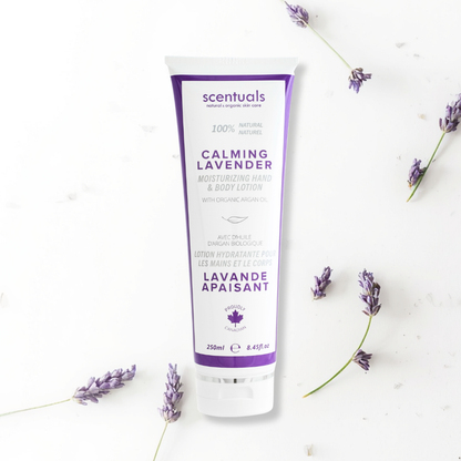 SC Lavender Fields Collection Prepack