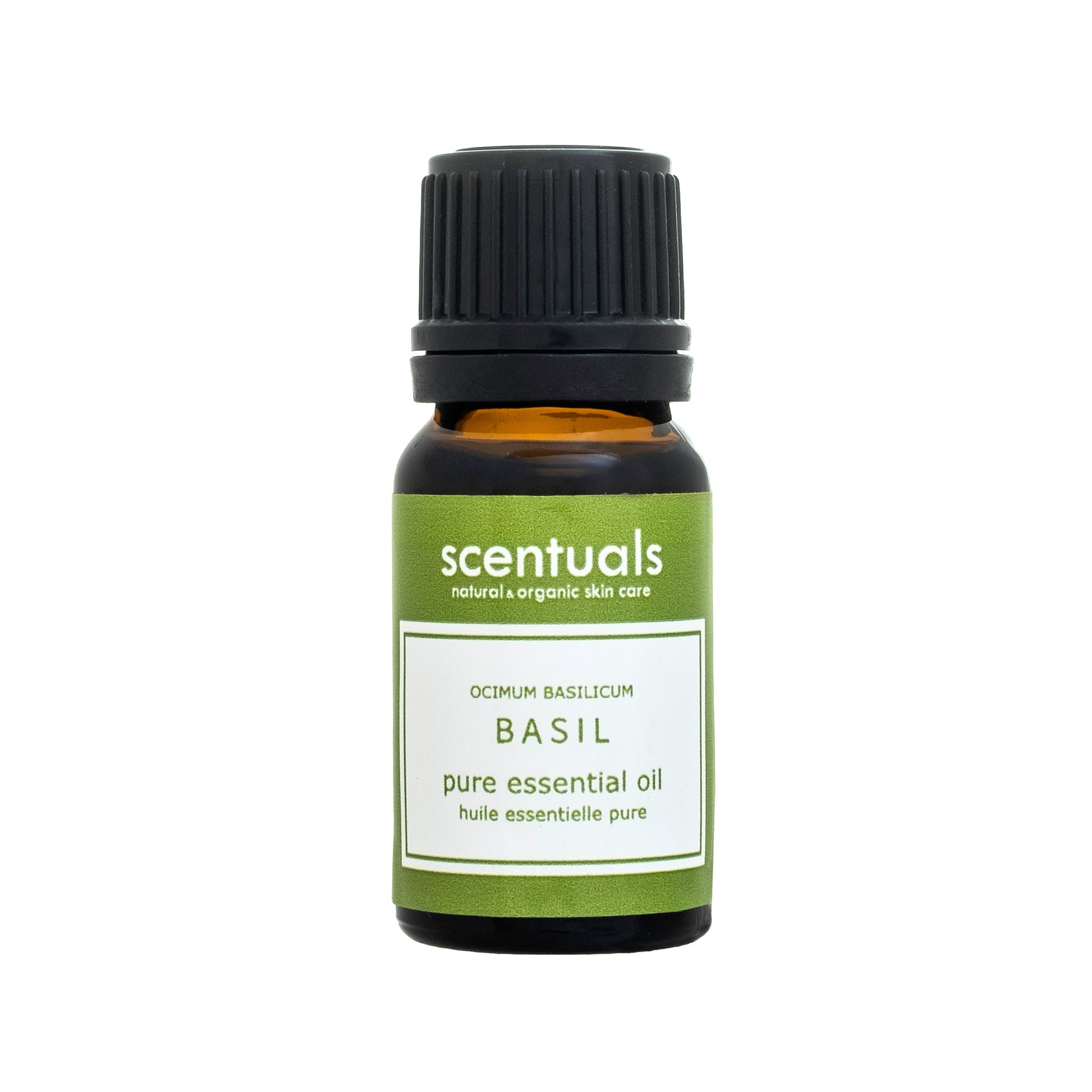 Sweet Basil Essential Oil