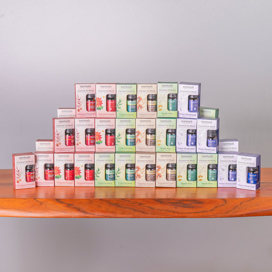 SC Holiday Essential Blends Boxed Prepack