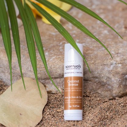 Coconut Breeze Lip Conditioners (Display of 24)