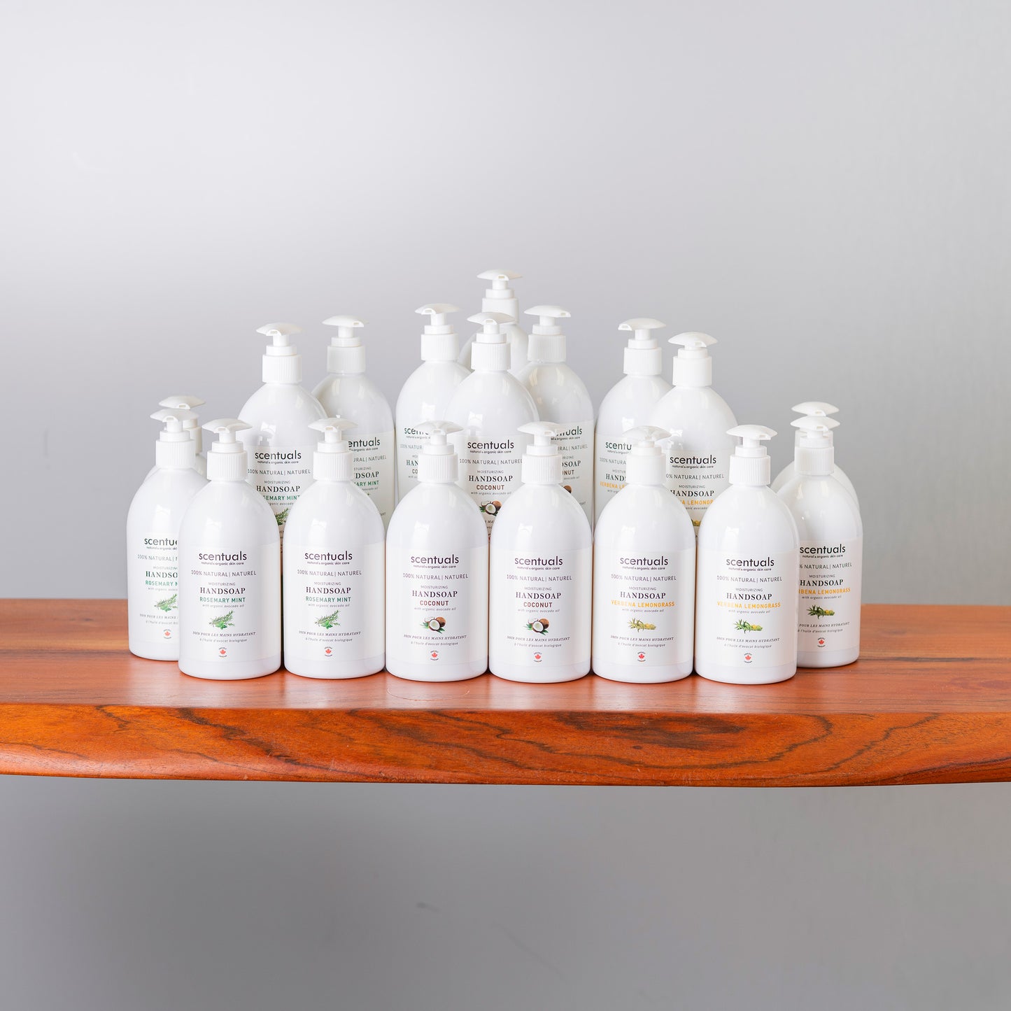 SC Liquid Hand Soap Prepack 2024