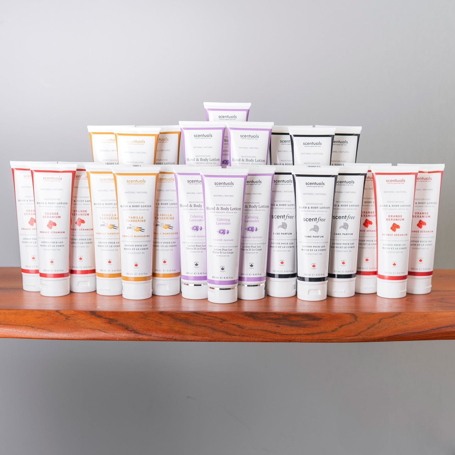 SC Hand & Body Lotions Prepack 2024