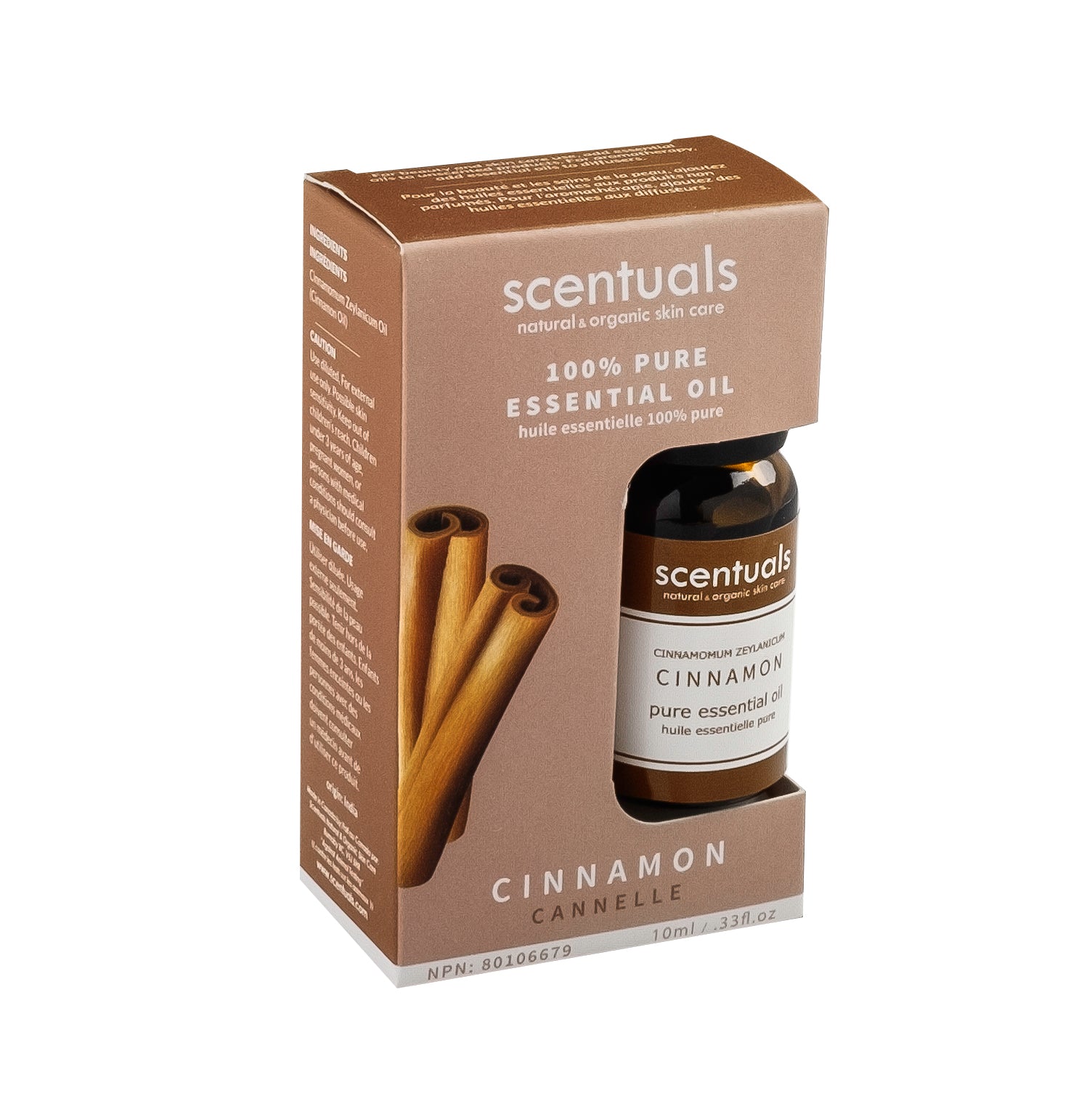 Cinnamon Essential Oil (Boxed)