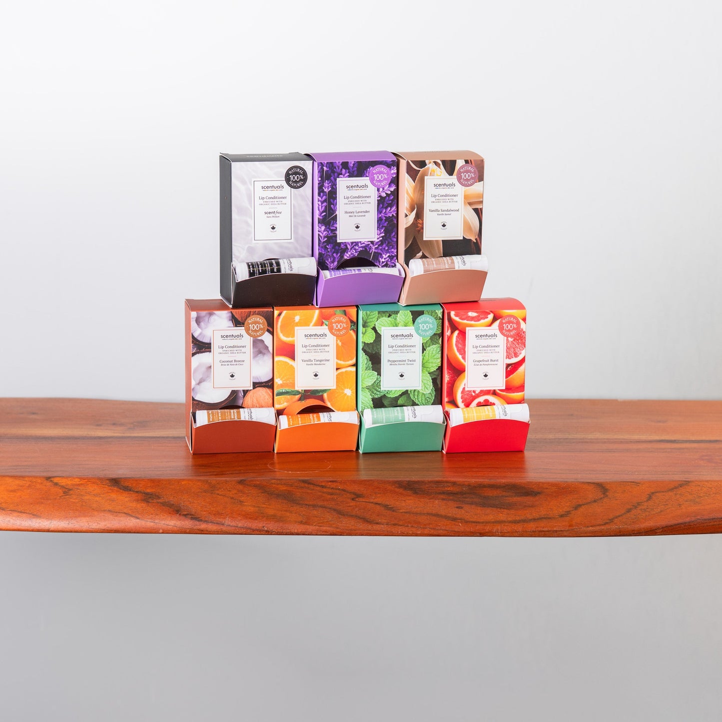 SC Lip Conditioner Mini Display Prepack 2025