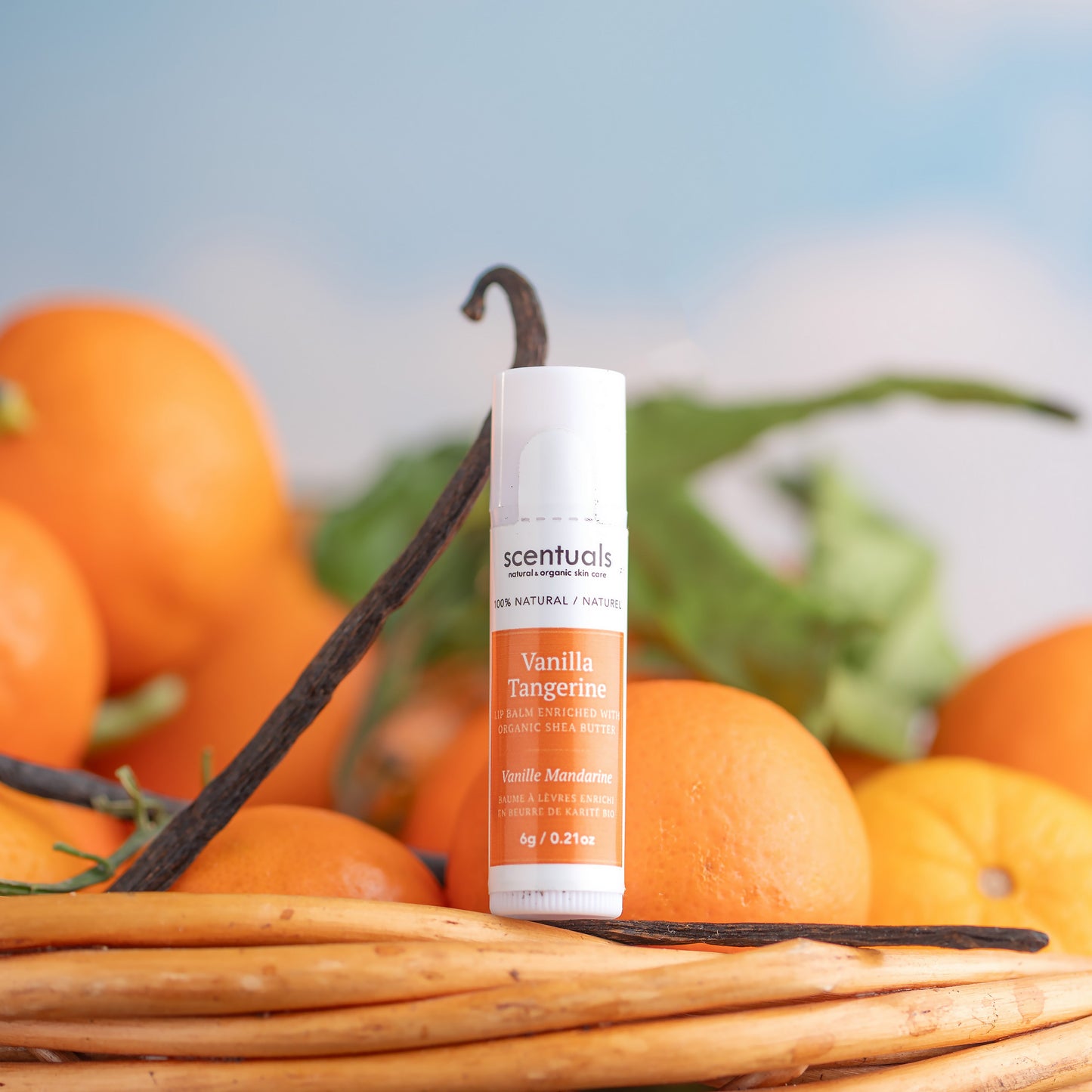 Vanilla Tangerine Lip Conditioners (Display of 24)