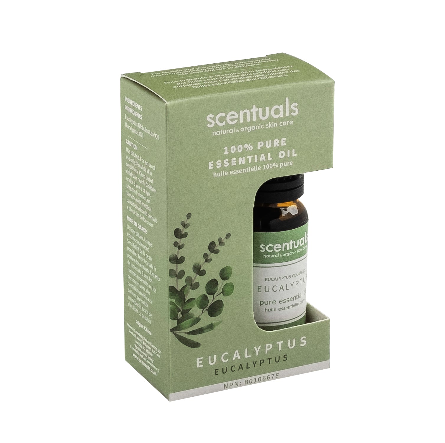 Eucalyptus Essential Oil (Boxed)