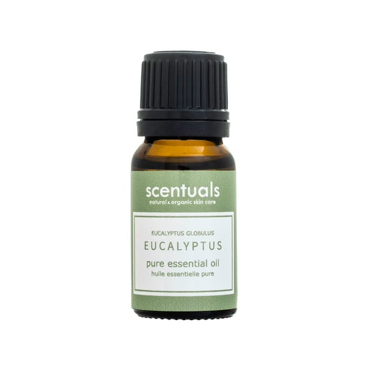 Eucalyptus Essential Oil