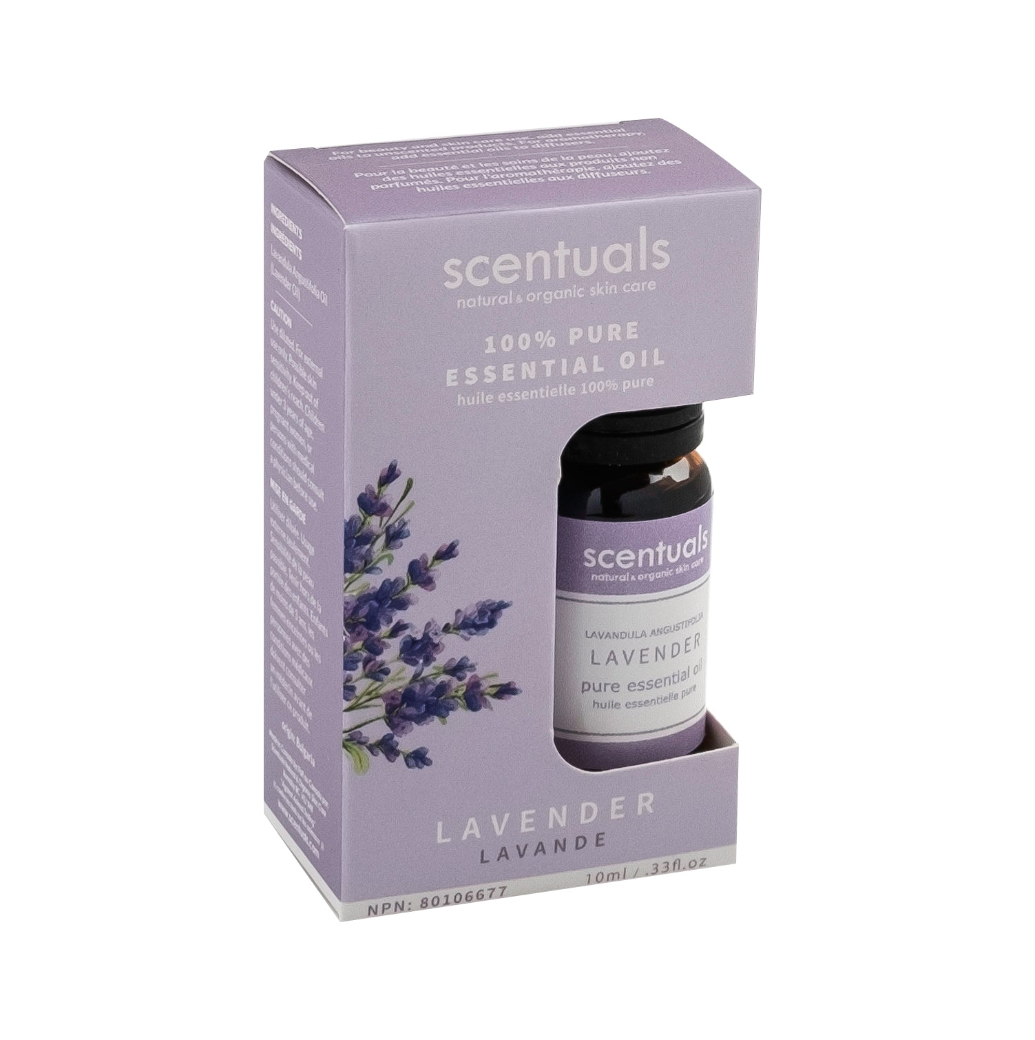 Lavender Essential Oil (Boxed)