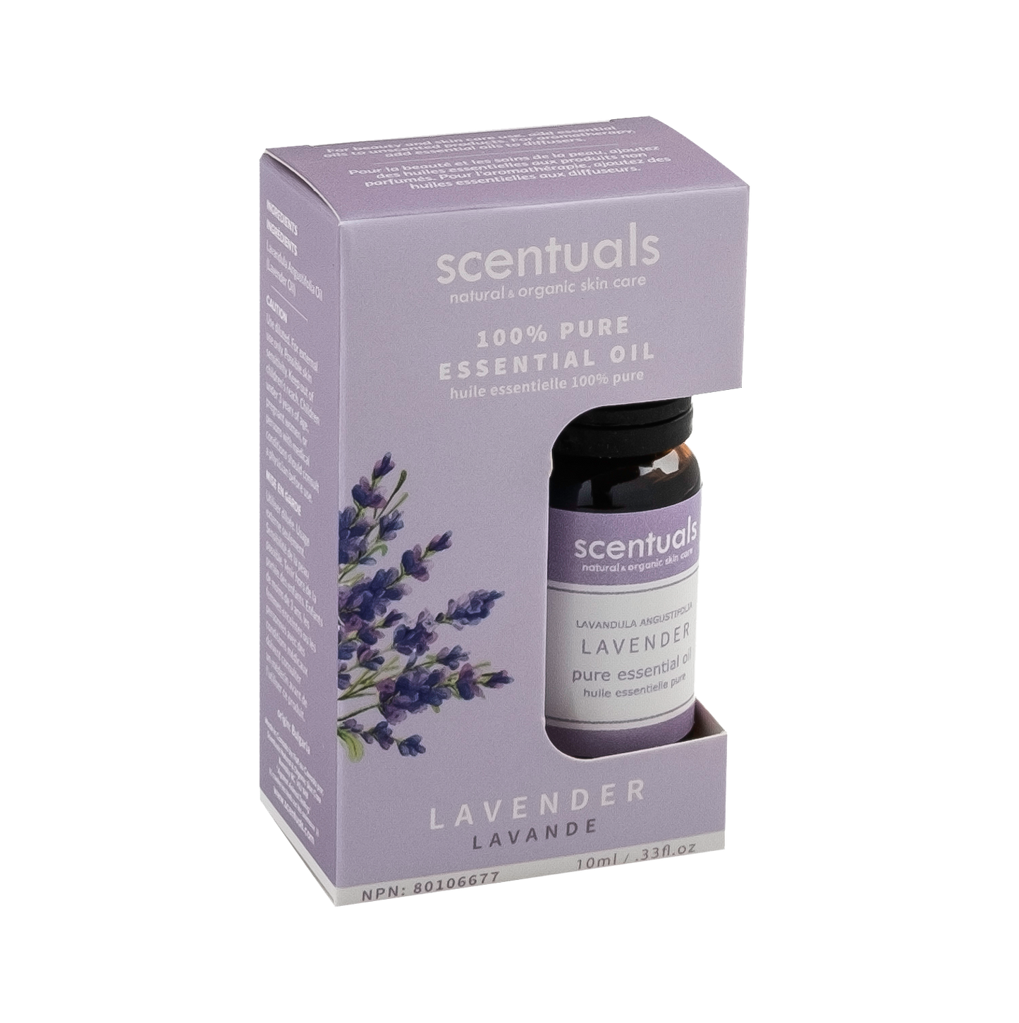 Lavender Fields Collection Prepack - 27 Units