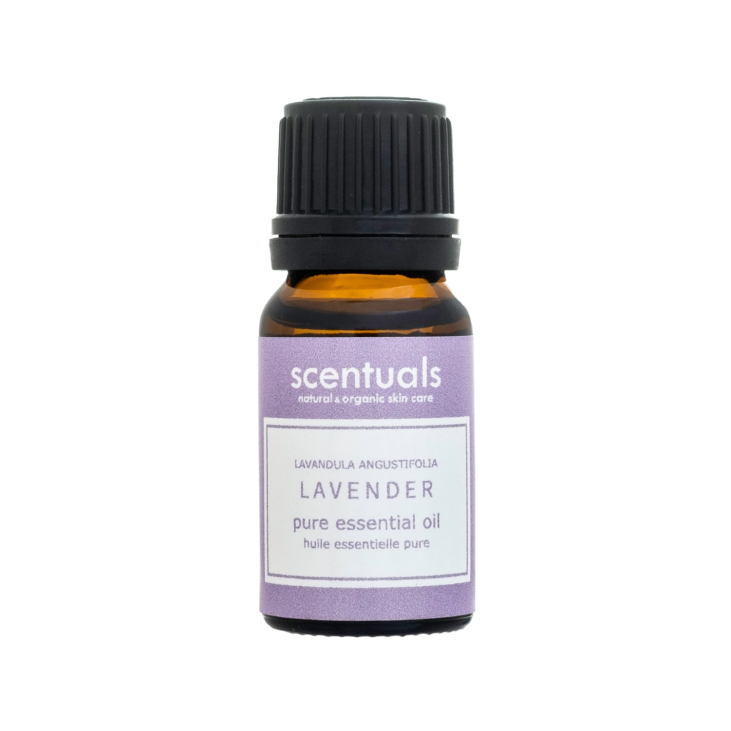 Lavender Essential Oil