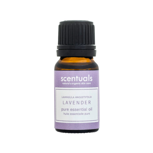 Lavender Essential Oil