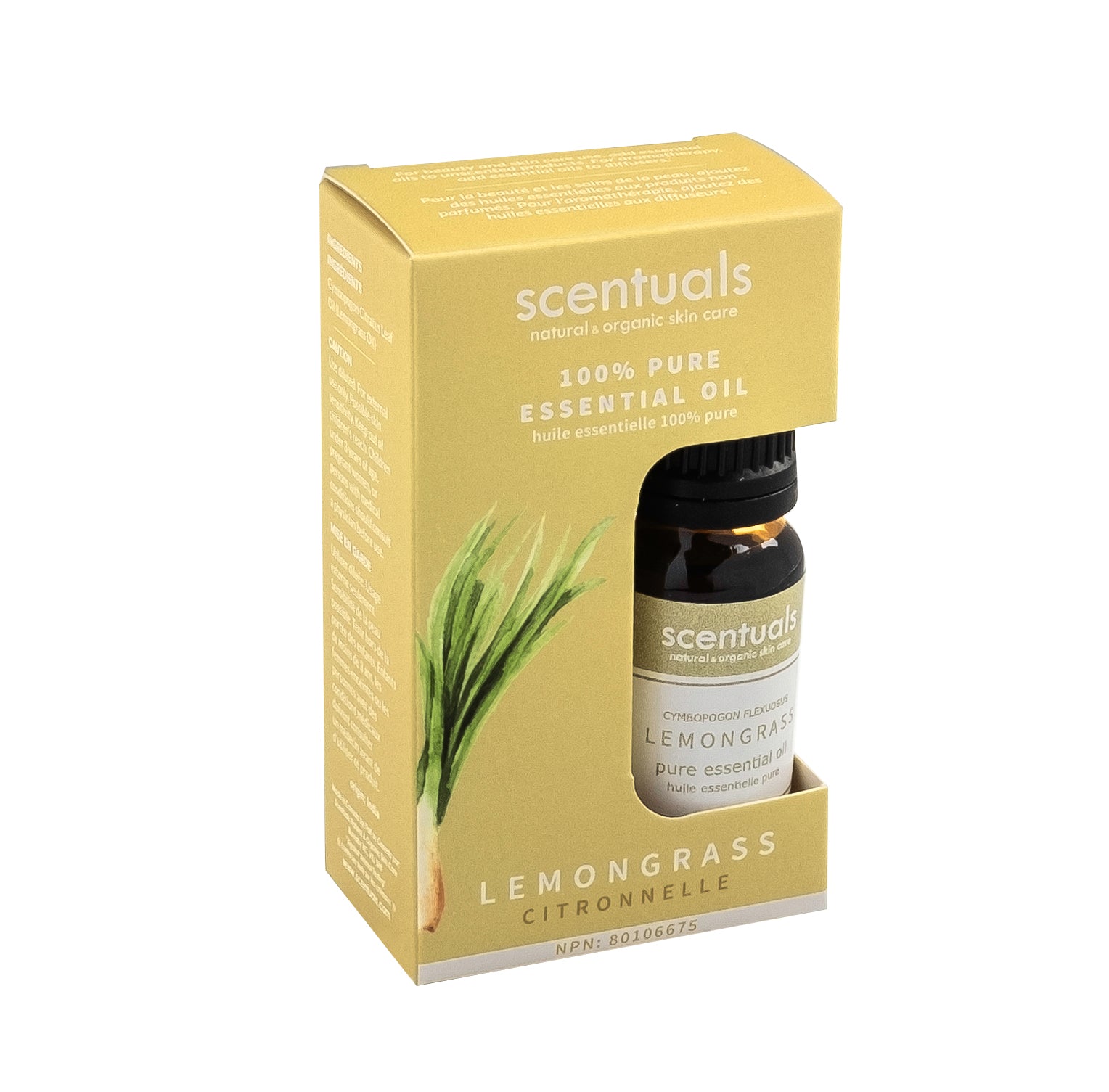 Lemongrass Essential Oil (Boxed)