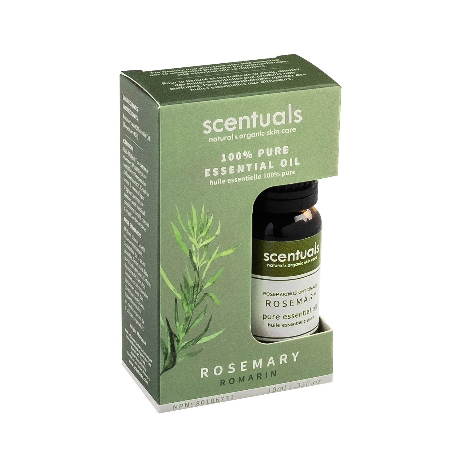 Rosemary Essential Oil (Boxed)