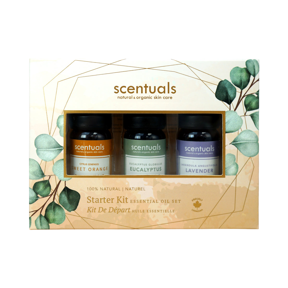 Centered view of Scentuals Starter Kit essential oil set.