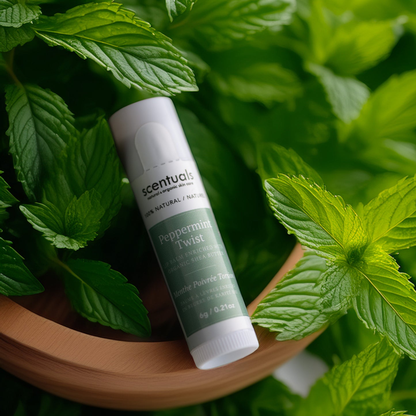 Peppermint Twist Lip Conditioners (Display of 24)