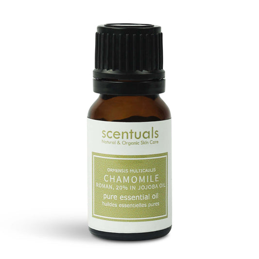 Chamomile Roman Luxury Essential Oil 20%