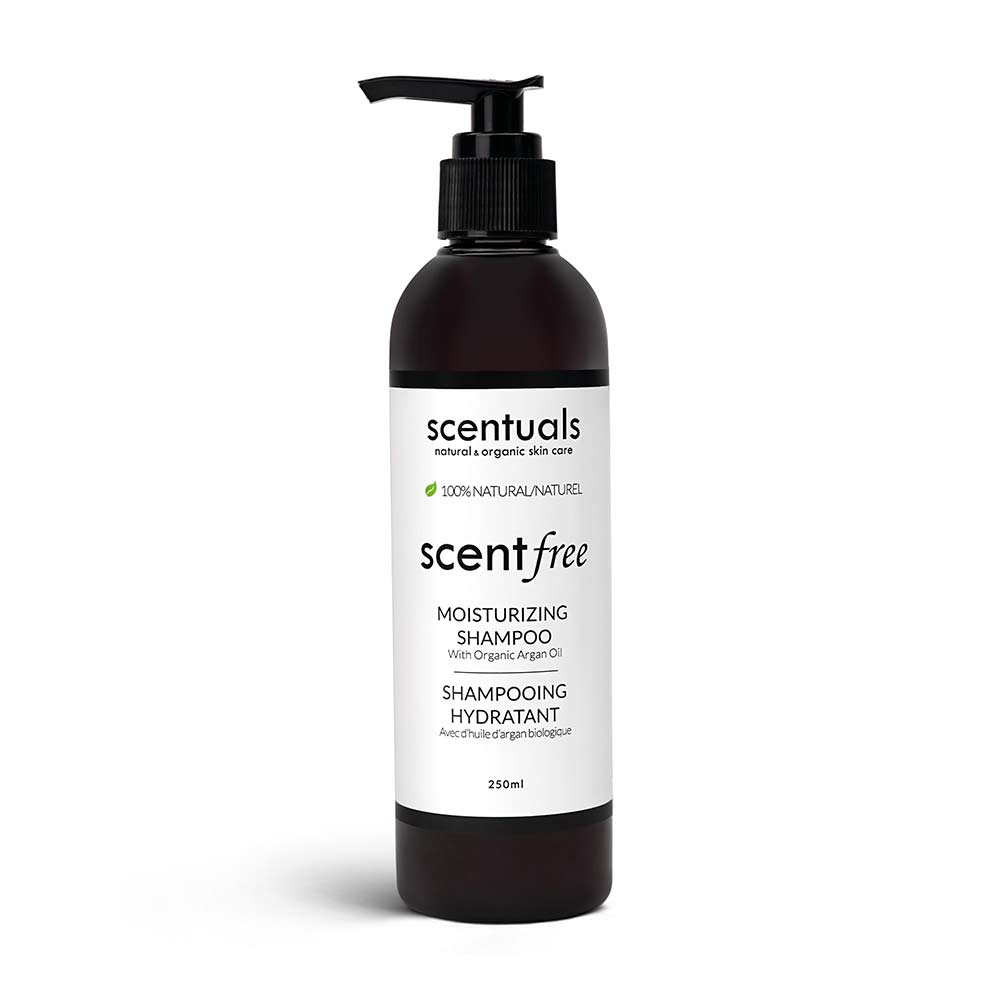 Scentfree Shampoo